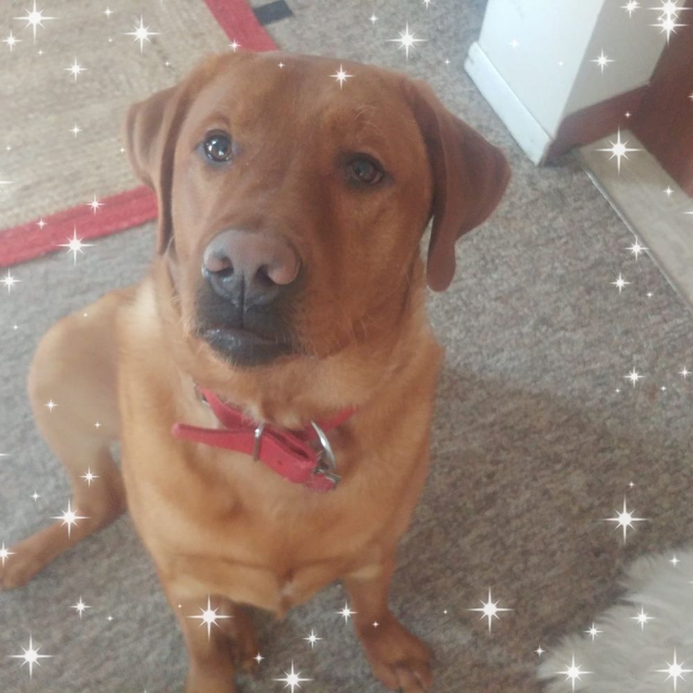 Meet your Posher, Christopher